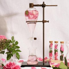 Logona Straffende Feuchtigkeitscreme geönt Bio-Rosenextrakt & Bio-Apfelsamenextrakt Logona Logona Тональный укрепляющий и увлажняющий крем с органическими экстрактами розы и семян яблока, 30мл