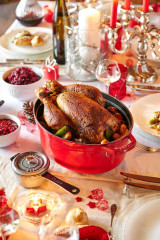 Staub Staub Br\u00e4ter rot Размножители пыли