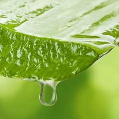 Mylee Beruhigendes Aloe Vera-Gel Успокаивающий гель алоэ вера