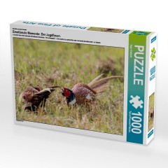 CALVENDO Puzzle CALVENDO Puzzle Emotionale Momente: Der Jagdfasan. Пазл CALVENDO Пазл Эмоциональные моменты: Охота на фазана.