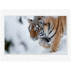 CALVENDO Puzzle CALVENDO Puzzle Emotionale Momente: Tiger Пазл CALVENDO Puzzle Эмоциональные моменты: тигр