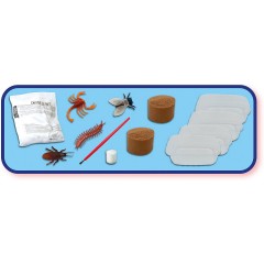 SES Creative Leuchtende Fossilien Светящиеся окаменелости