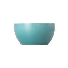 Thomas Thomas Sunny Day Turquoise Zuckerschale 6 Pers. 0,25 L Thomas Sunny Day Бирюзовая сахарница 6 перс. 0,25 л