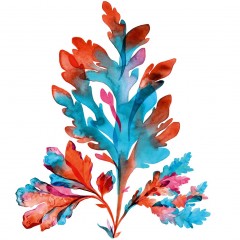 Yves Rocher Pure Algue 2 in 1 Mizellenwasser Pure Algue 2 в 1 мицеллярной воде