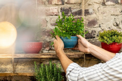 Staub Staub Schucsselset 4-tlg. turkis Набор пылесборников 4 шт.