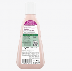 GUHL Shampoo Tiefenaufbau, 250 ml, Шампунь для Укрепления Волос по Всей Длине 250 мл