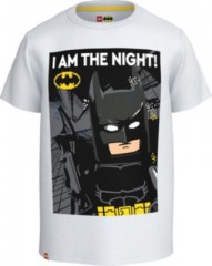 LEGO T-Shirt fur Jungen Футболка для мальчиков