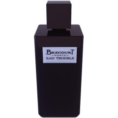 Brecourt Eau Trouble Eau de Parfum Парфюмерная вода, 100 мл