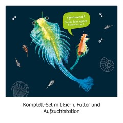 Kosmos Urzeit-Krebse первобытные крабы