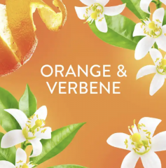 Lenor Weichsp&uuml;ler Konzentrat Orange Verbena Vorteilsgrobe 59WL